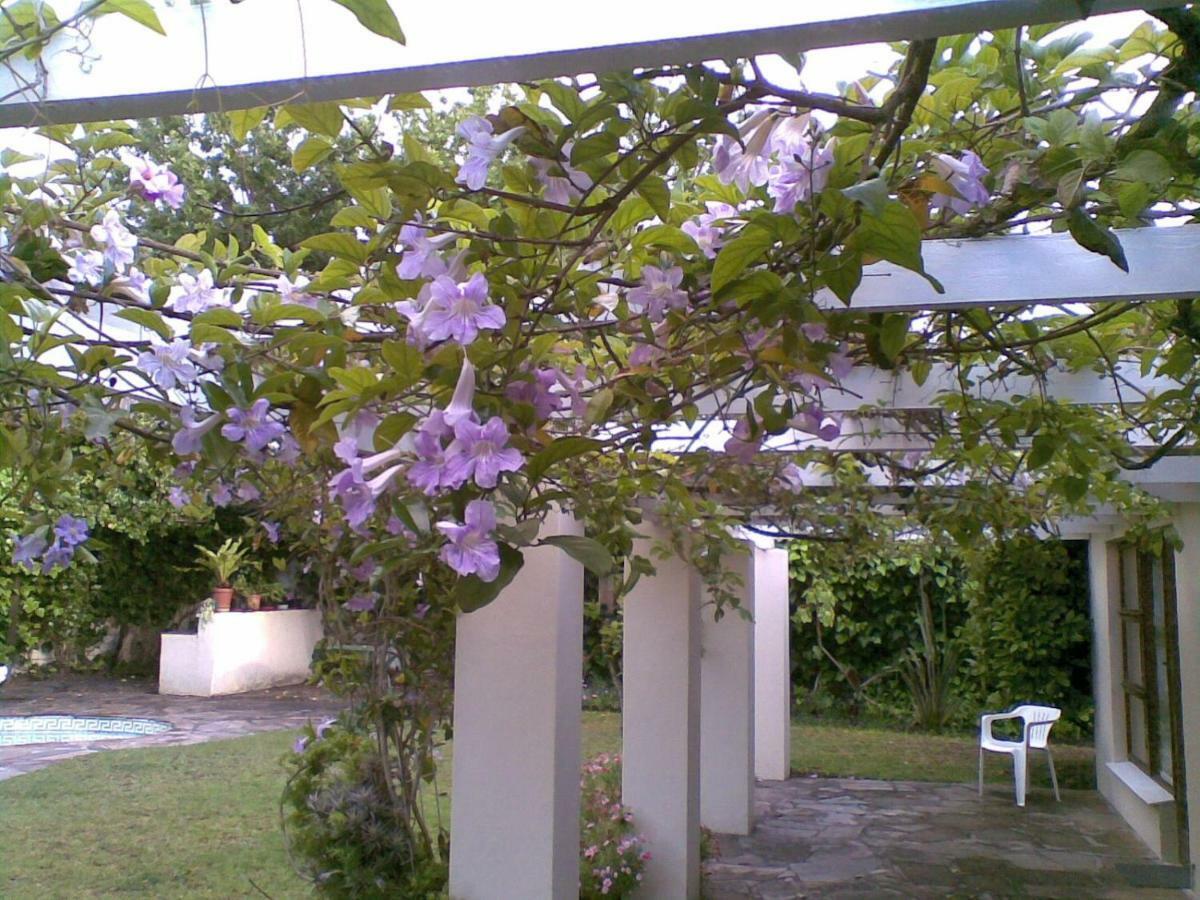 Appartamento 11 Lucius Way Città del Capo Esterno foto